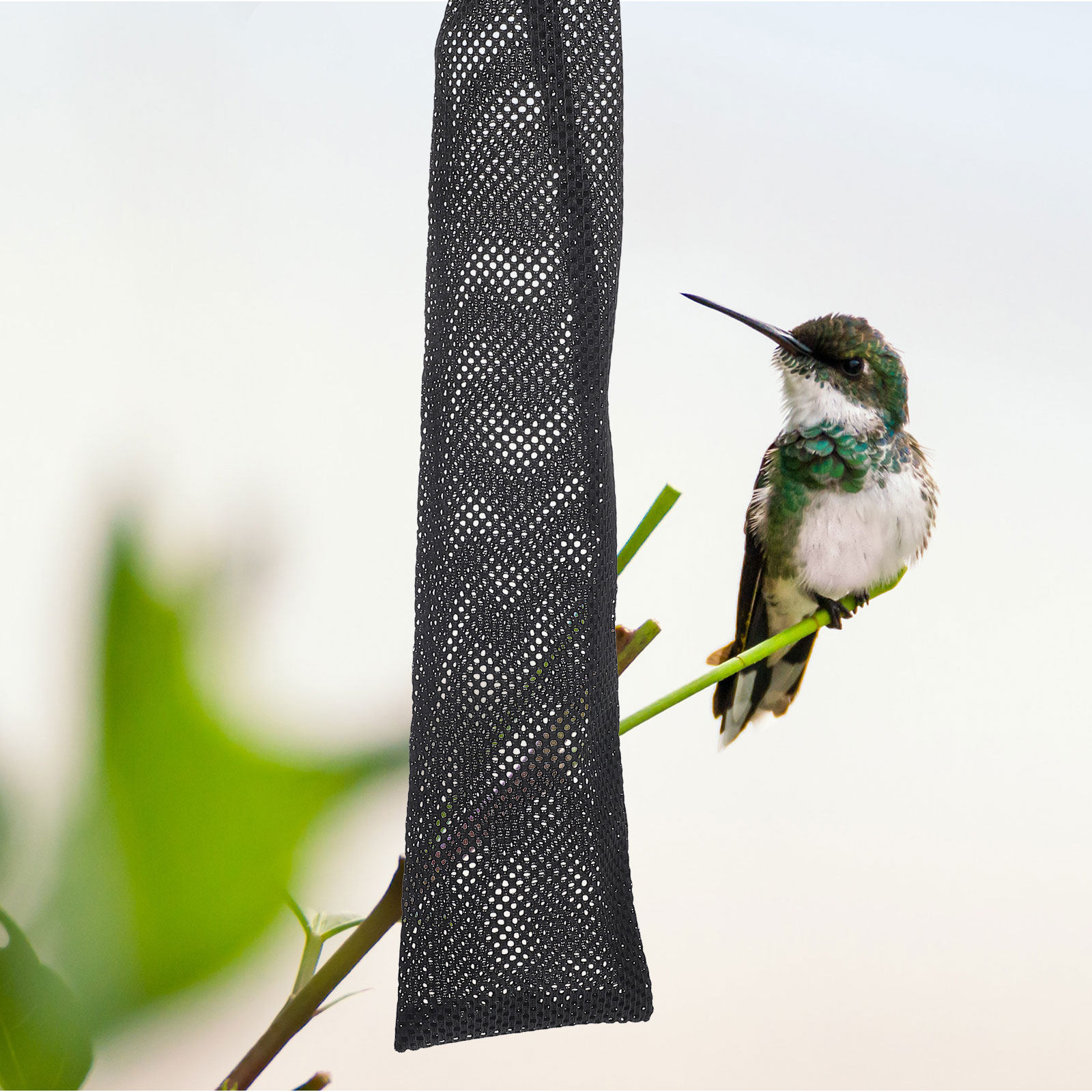 Mesh Feeder Bag - 새 모이통 3개 세트, 튼튼한 나일론